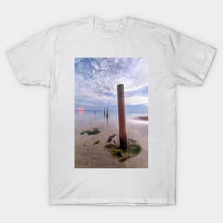 Poles T-Shirt